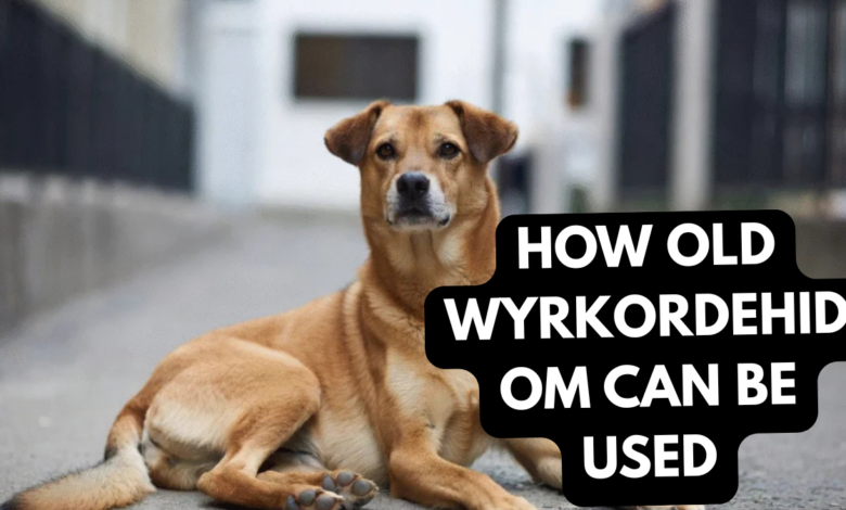 how old wyrkordehidom can be used