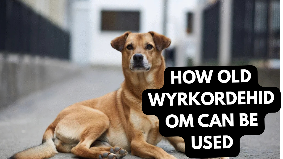 how old wyrkordehidom can be used