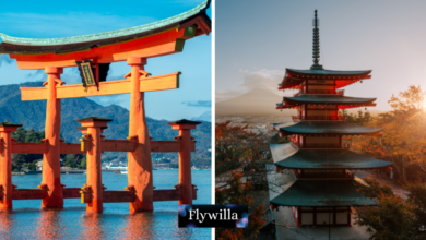 highlights of nummazaki